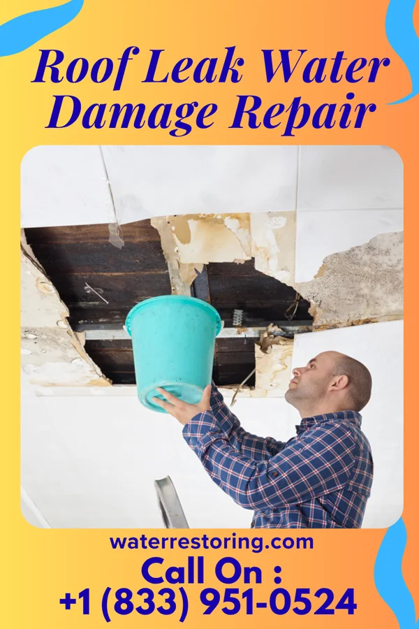 Roof Leak Water Damage Repair in Koontz Lake, IN