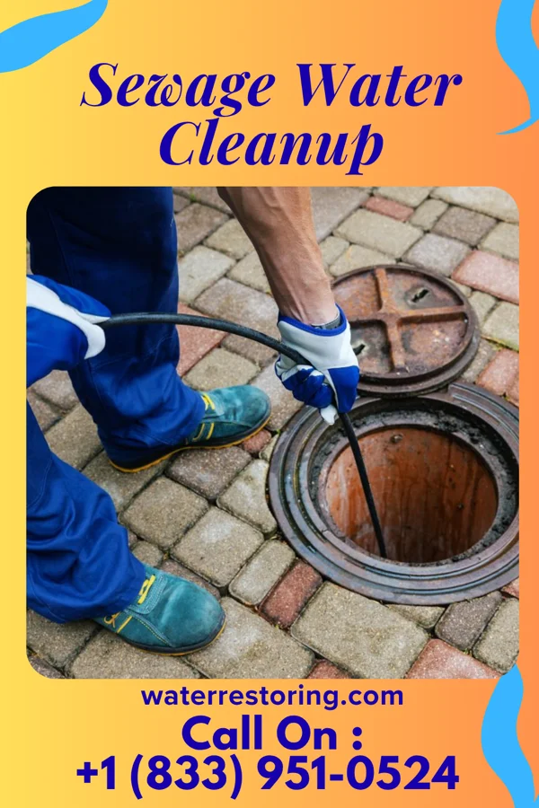 Sewage Water Cleanup in Koontz Lake, IN